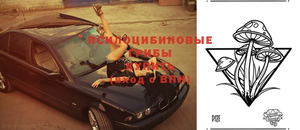 кристаллы Осинники