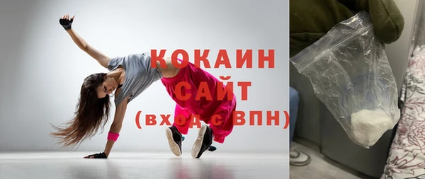 бошки Няндома