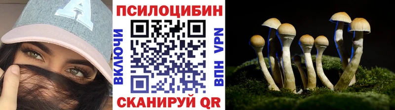 Галлюциногенные грибы Psilocybine cubensis  Уварово 